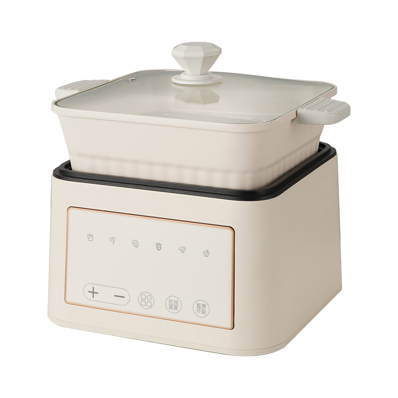 Multifunction Electric Cooker ine Deep Fryer